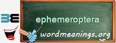 WordMeaning blackboard for ephemeroptera